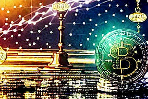TRUMP Token: The Ledger Already Answered the Senators' Question"