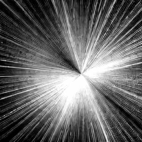 The Proving Cost Trap: Why Layer 2 Economics Break Before Liquidity Returns The Proving Cost Trap: Why Layer 2 Economics Break Before Liquidity Returns