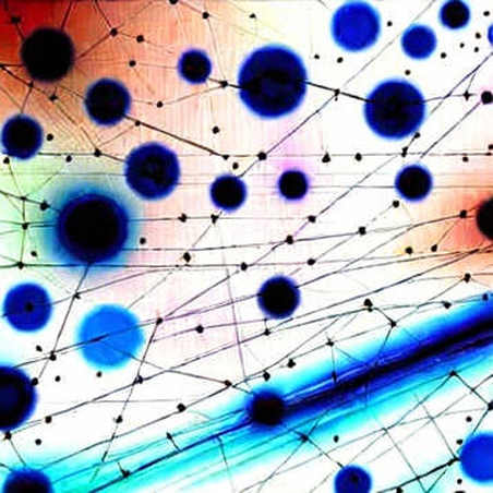 The 13.5% Signal: Why Prediction Markets Are Telling You a Truth You Don't Want to Hear The 13.5% Signal: Why Prediction Markets Are Telling You a Truth You Don't Want to Hear