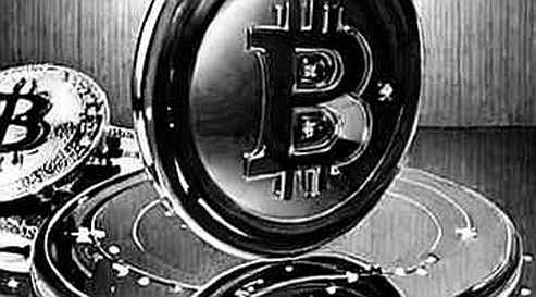 The Empty Array: Silent Data Failure Is the Bear Market's Most Expensive Bug