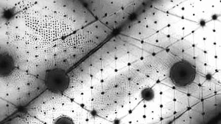 UBS's $90M Bitcoin ETF Boost: A Signal of Institutional Adoption or a Mirage of Client Flows? UBS's $90M Bitcoin ETF Boost: A Signal of Institutional Adoption or a Mirage of Client Flows?