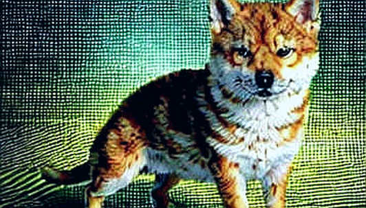 The CLARITY Signal: Why Regulatory Sclerosis Is the Real Bear Market The CLARITY Signal: Why Regulatory Sclerosis Is the Real Bear Market