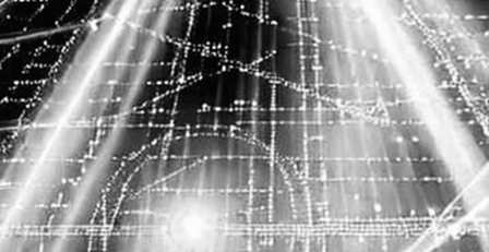 Dimon's Bubble Warning: On-Chain Data Reveals a Hidden Liquidity Drain