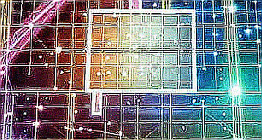 Nine Companies, Six Million Coins, Zero Names: The Quantum Alliance Is Selling Fear as a Standard Nine Companies, Six Million Coins, Zero Names: The Quantum Alliance Is Selling Fear as a Standard