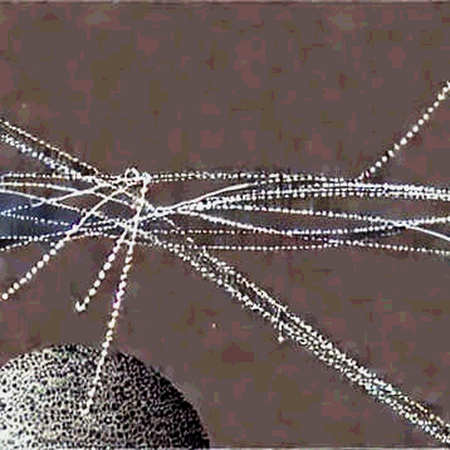 The Langflow Collapse: How an AI Agent Platform Became the New Cross-Chain Bridge for Crypto Theft The Langflow Collapse: How an AI Agent Platform Became the New Cross-Chain Bridge for Crypto Theft