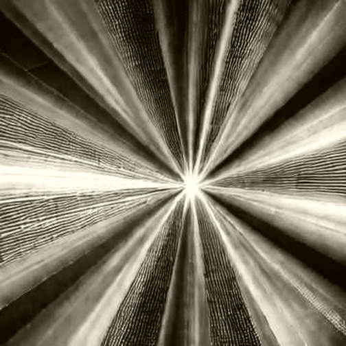 The Risky Bet: How One Protocol's High-Risk Innovation Could Redefine Its Market Position The Risky Bet: How One Protocol's High-Risk Innovation Could Redefine Its Market Position