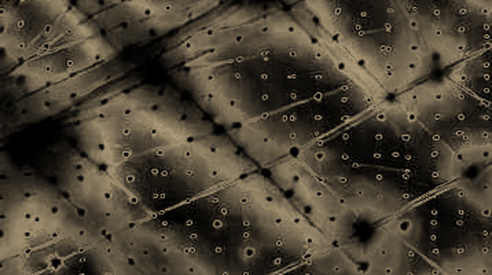 The 124,000 Ghosts on BNB Chain: A Data Detective's Deep Dive into the RWA Holder Surge The 124,000 Ghosts on BNB Chain: A Data Detective's Deep Dive into the RWA Holder Surge
