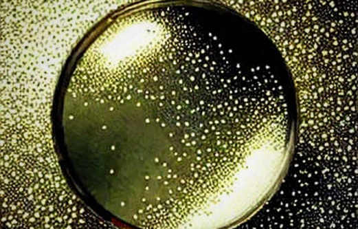 The Insider's Edge: How Kalshi's CFTC Probe Exposes the Flaw in Centralized Prediction Markets The Insider's Edge: How Kalshi's CFTC Probe Exposes the Flaw in Centralized Prediction Markets